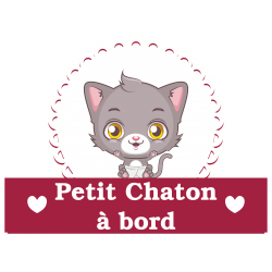 Stickers Bébé à bord chaton