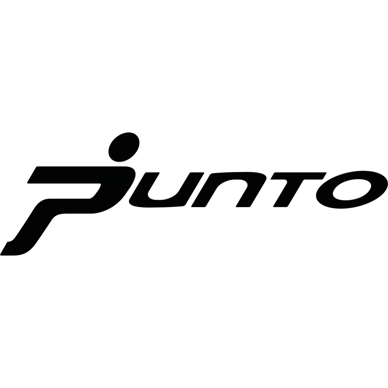 Stickers FIAT Punto logo