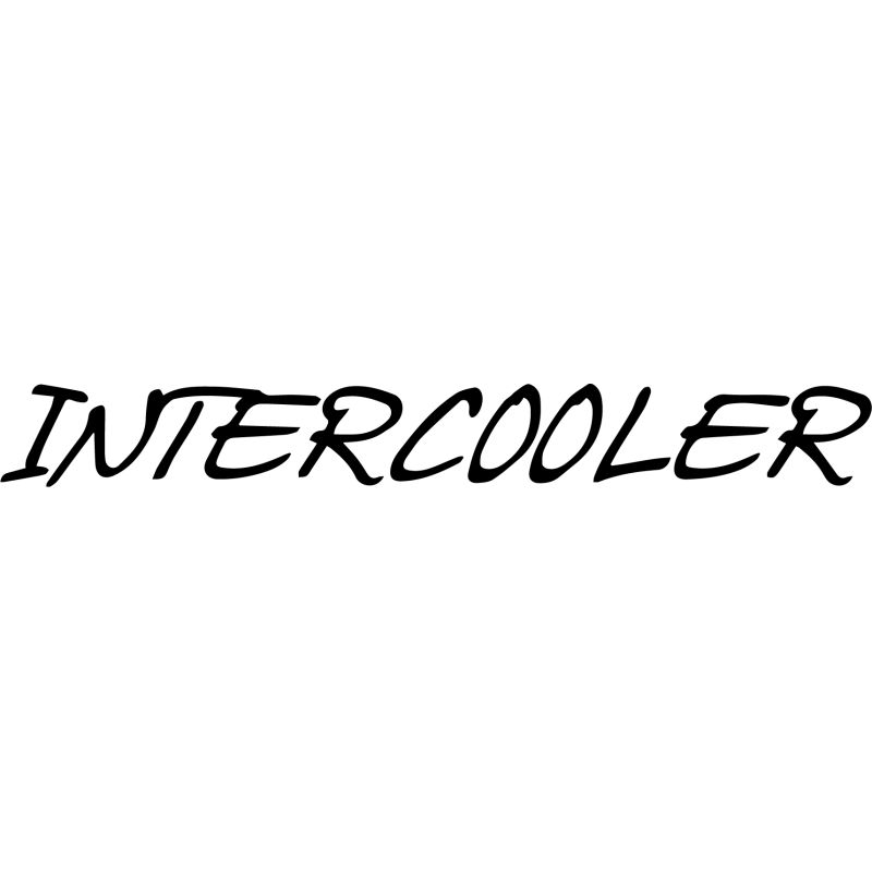 2 x INTERCOOLER
