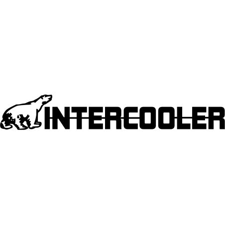 2 x INTERCOOLER