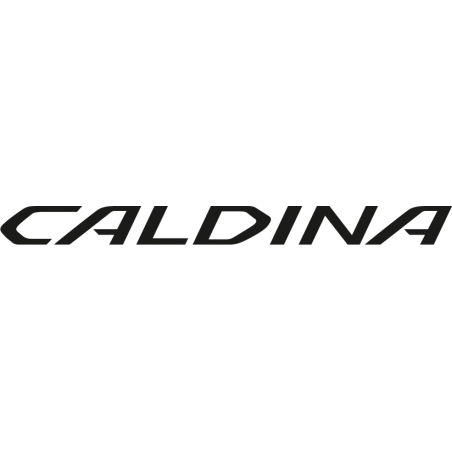 Stickers Toyota Caldina