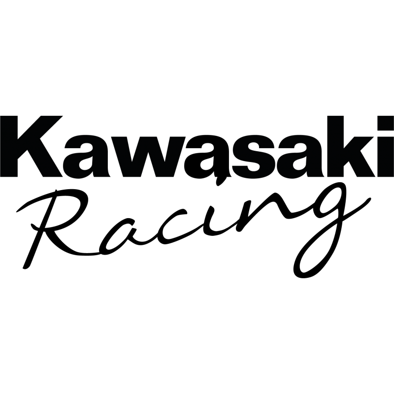 Kawasaki racing script