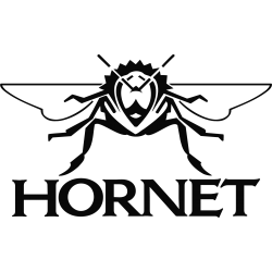 Honda Hornet - face